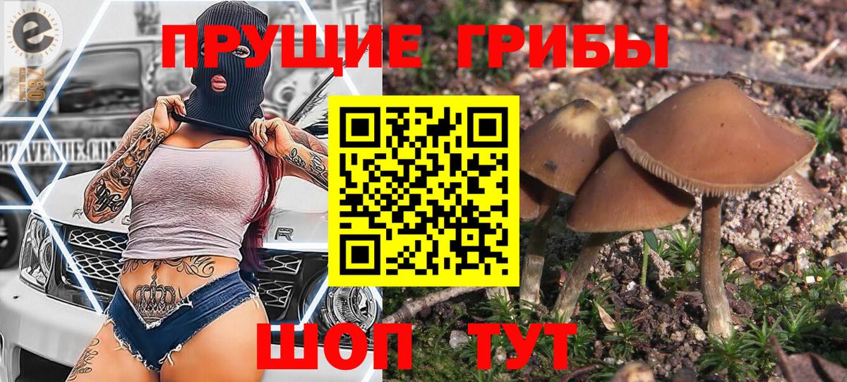 Псилоцибиновые грибы прущие грибы Надым