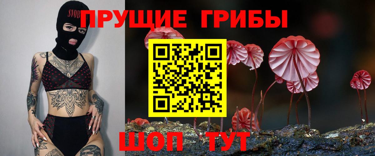 Надым  Псилоцибиновые грибы Psilocybine cubensis  Вход с VPN 